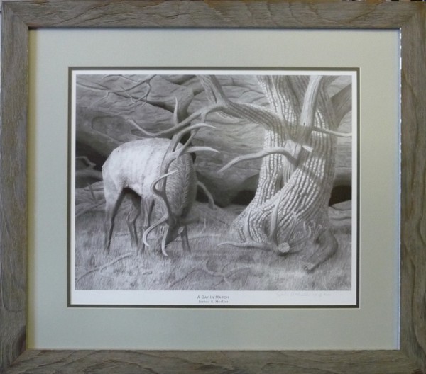 Print of an elk with double mat