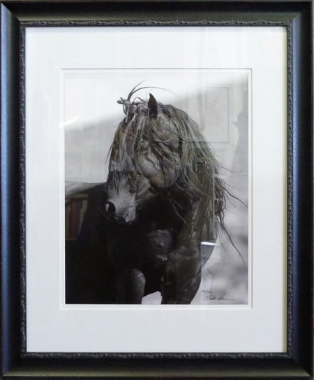 Wild Horse
